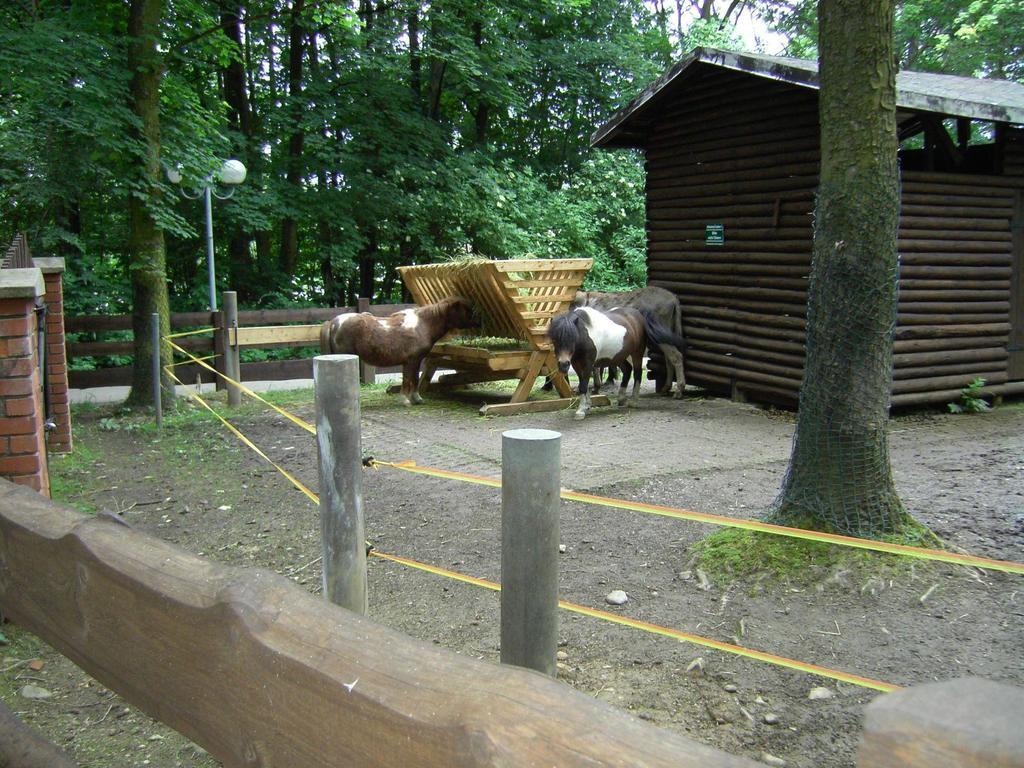Rothers-Ferienwohnung Annaberg-Buchholz Exteriér fotografie